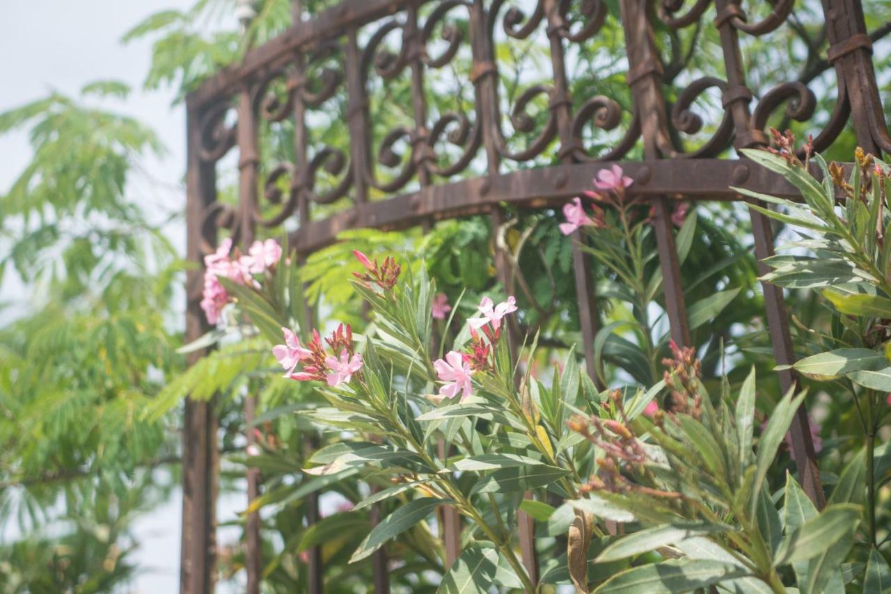 Vinauberge Poilhes Ngoại thất bức ảnh